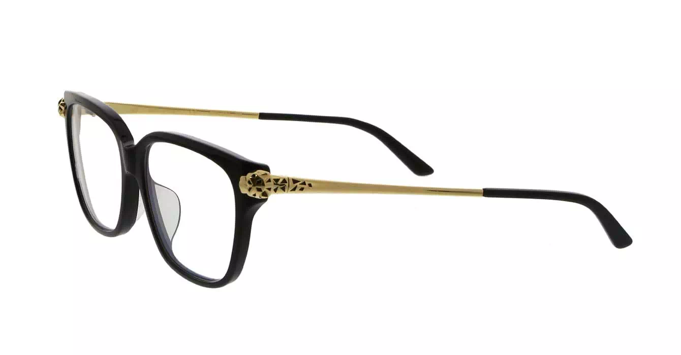 Cartier CT0210OA 001 s54