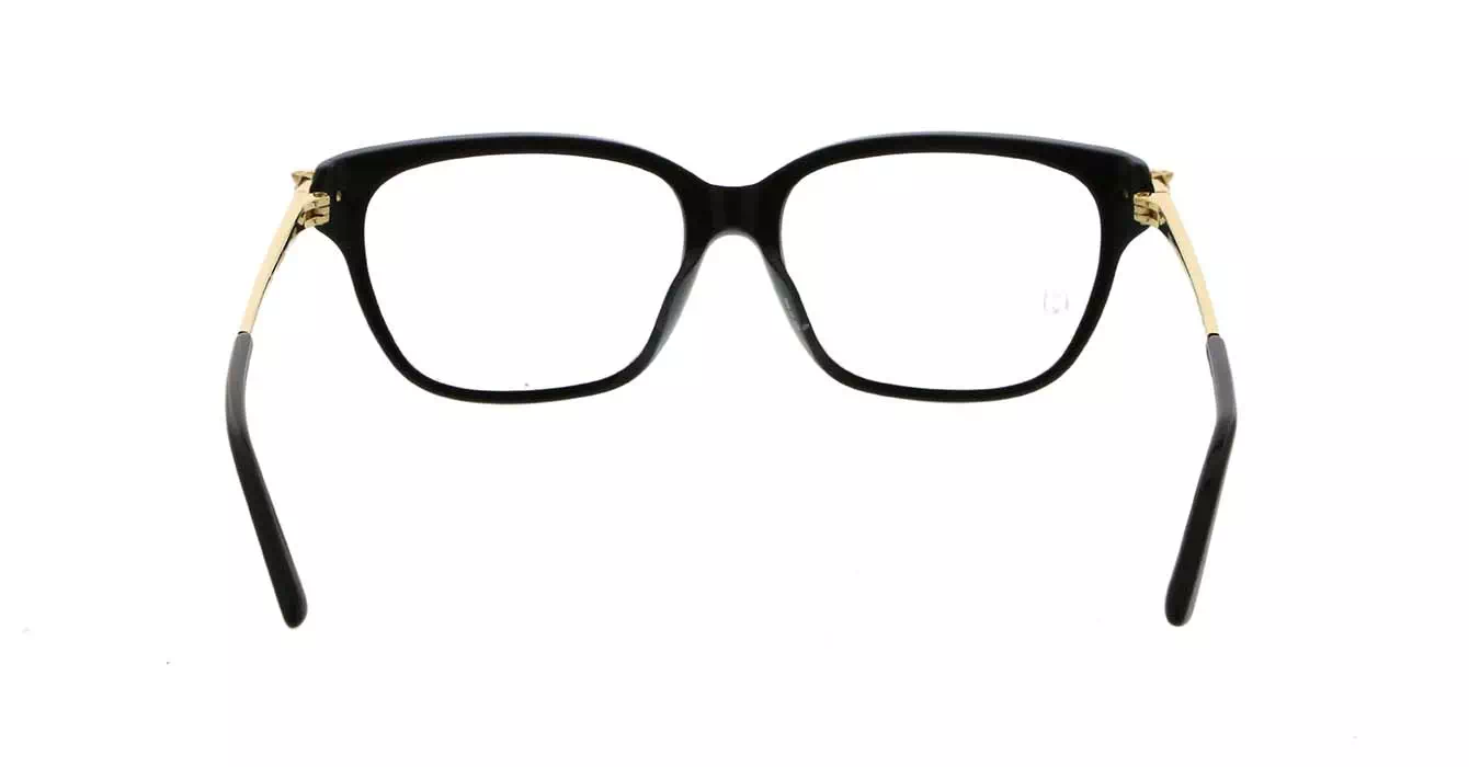 Cartier CT0210OA 001 s54