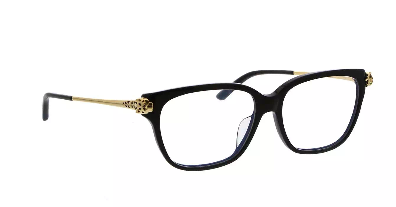 Cartier CT0210OA 001 s54