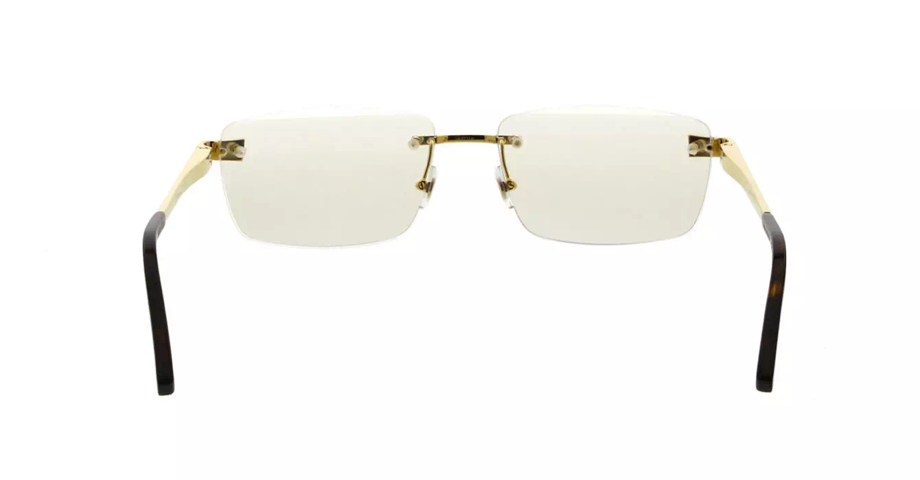 Cartier CT0201O 002 s57