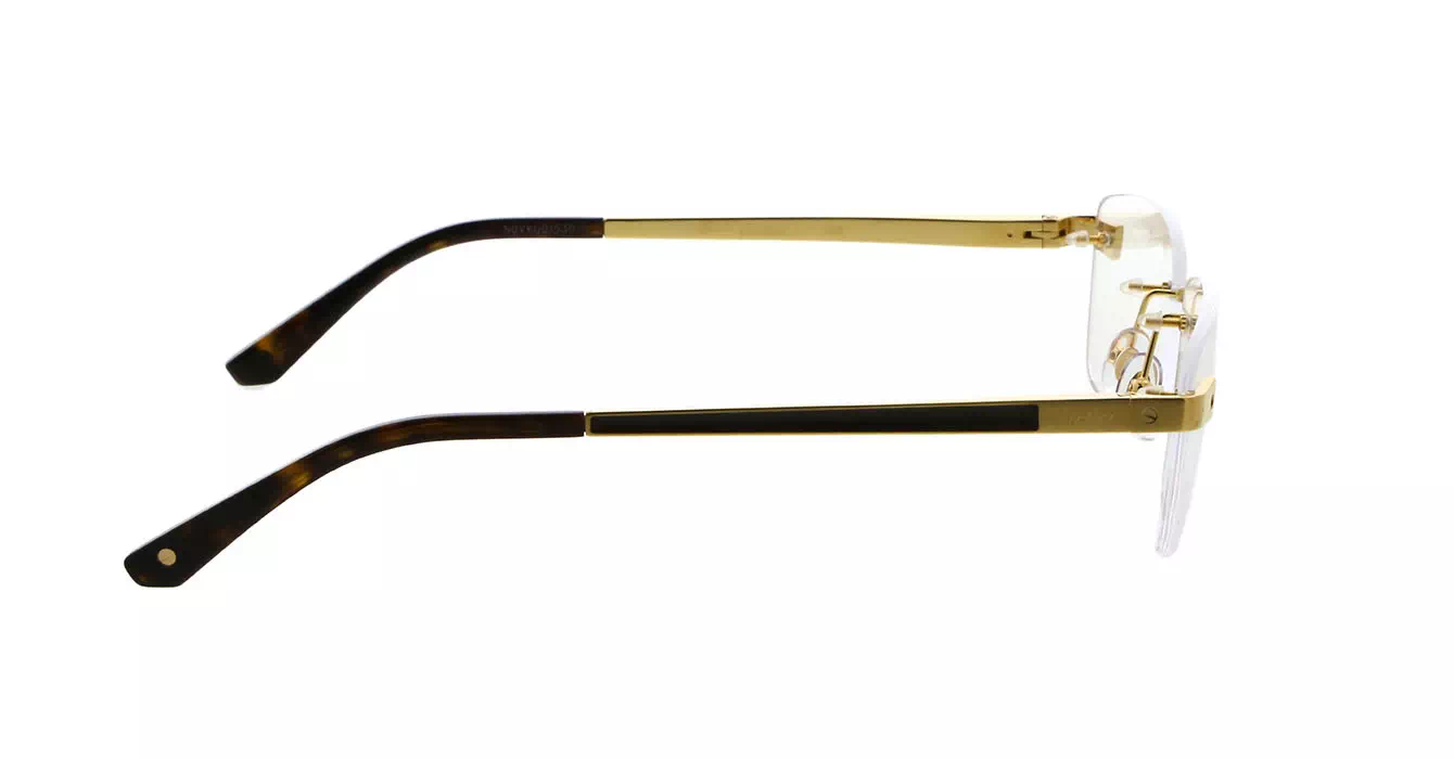 Cartier CT0201O 002 s57