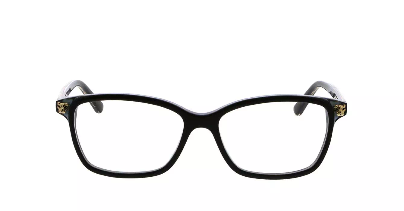 Cartier CT0206OA 001 s54