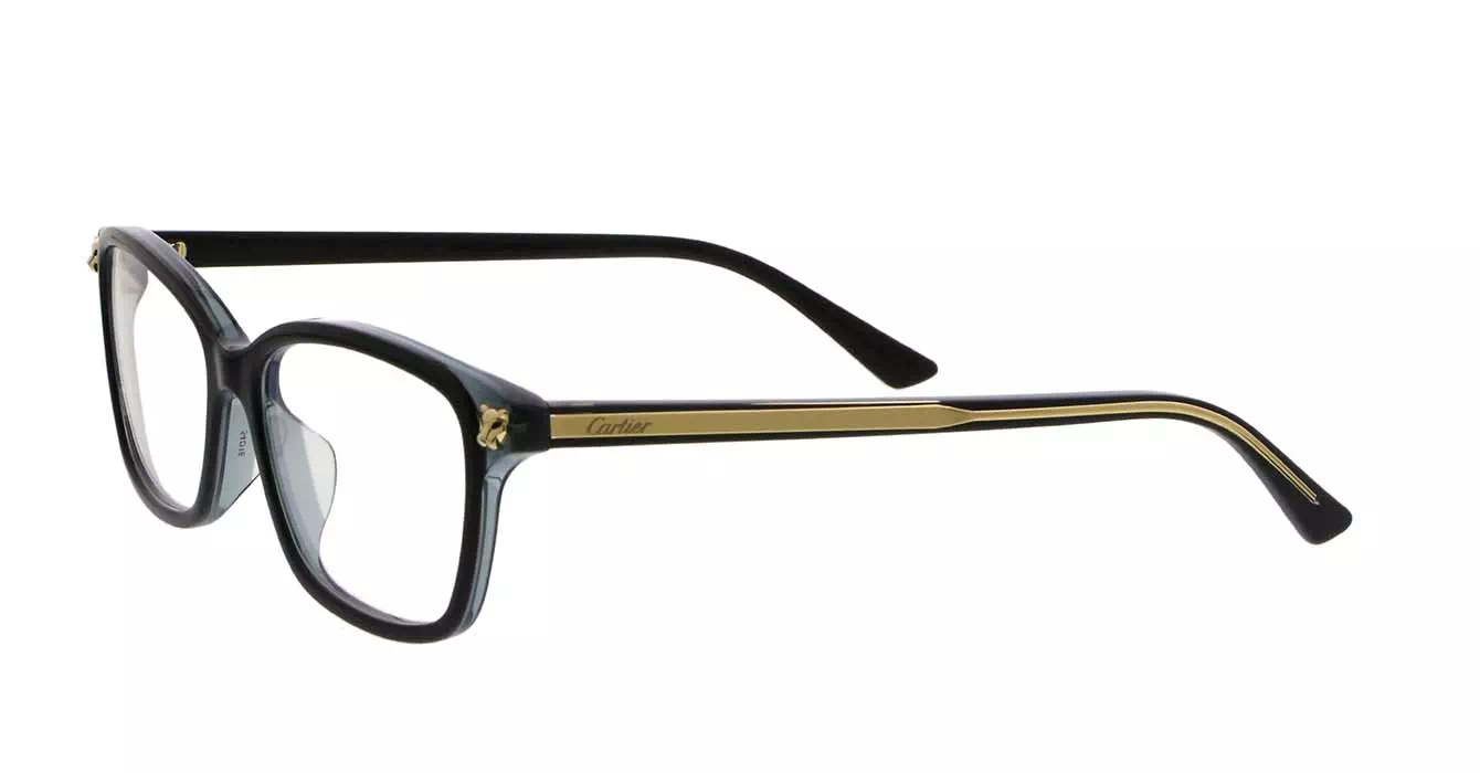 Cartier CT0206OA 001 s54