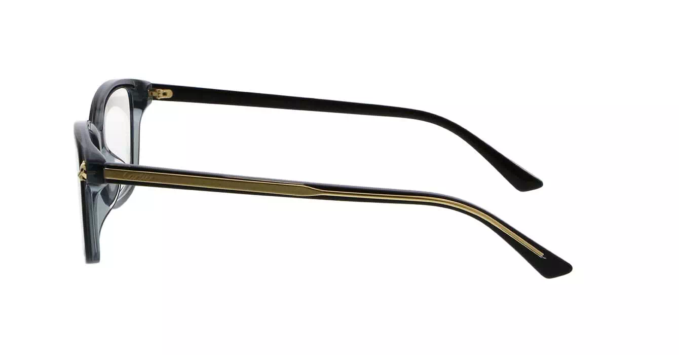 Cartier CT0206OA 001 s54