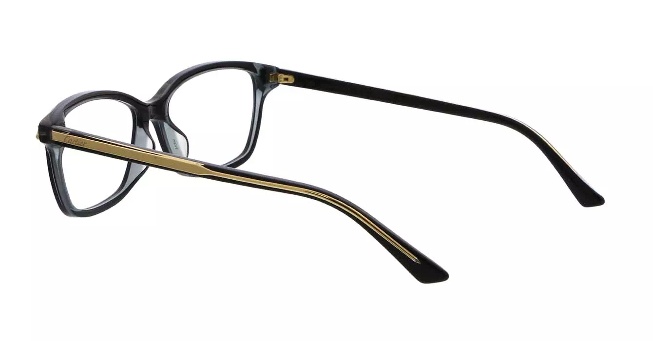 Cartier CT0206OA 001 s54