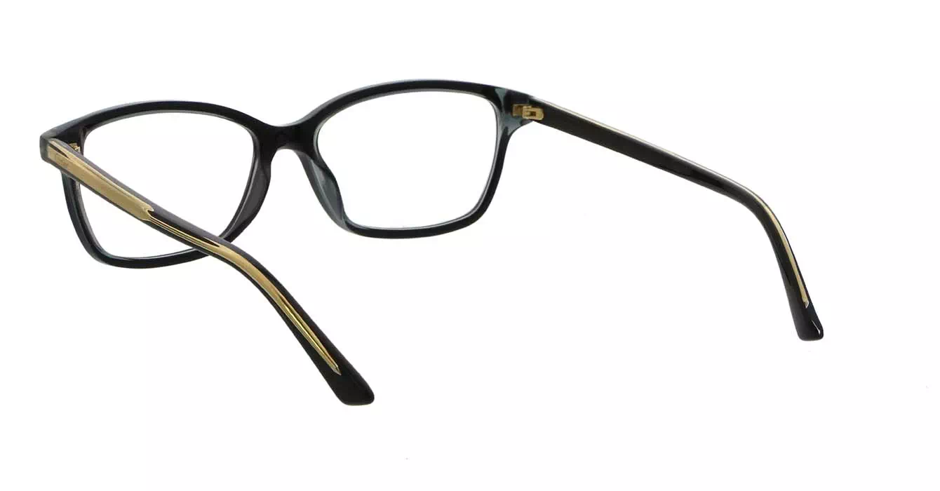 Cartier CT0206OA 001 s54