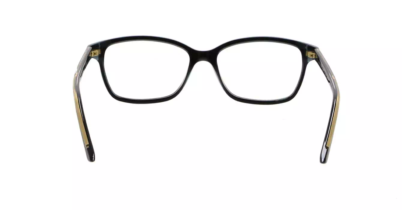 Cartier CT0206OA 001 s54