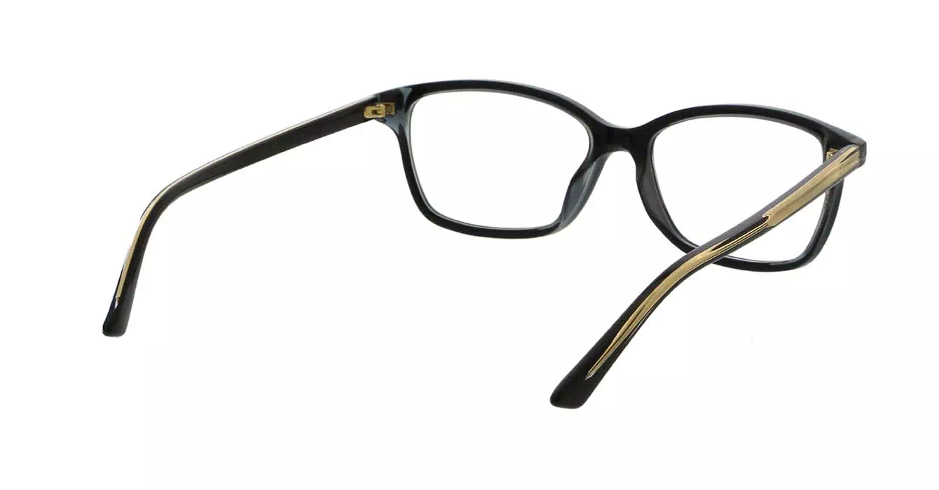 Cartier CT0206OA 001 s54