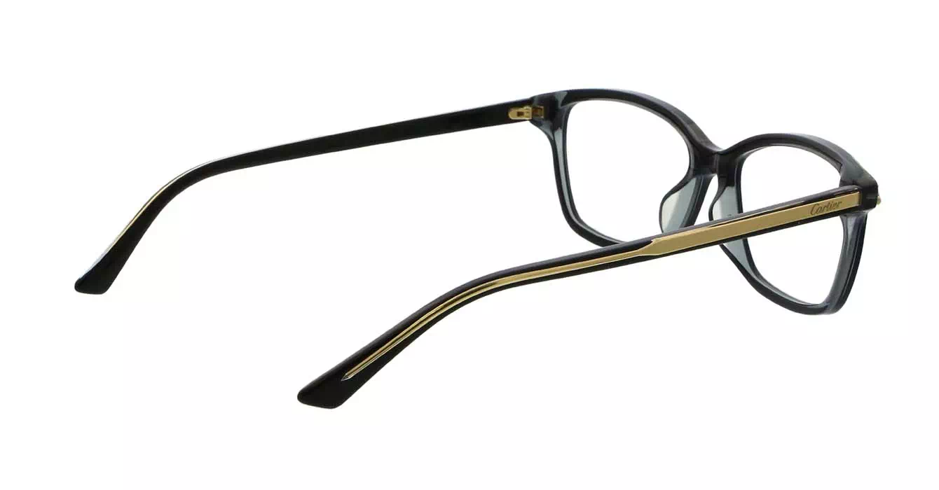 Cartier CT0206OA 001 s54