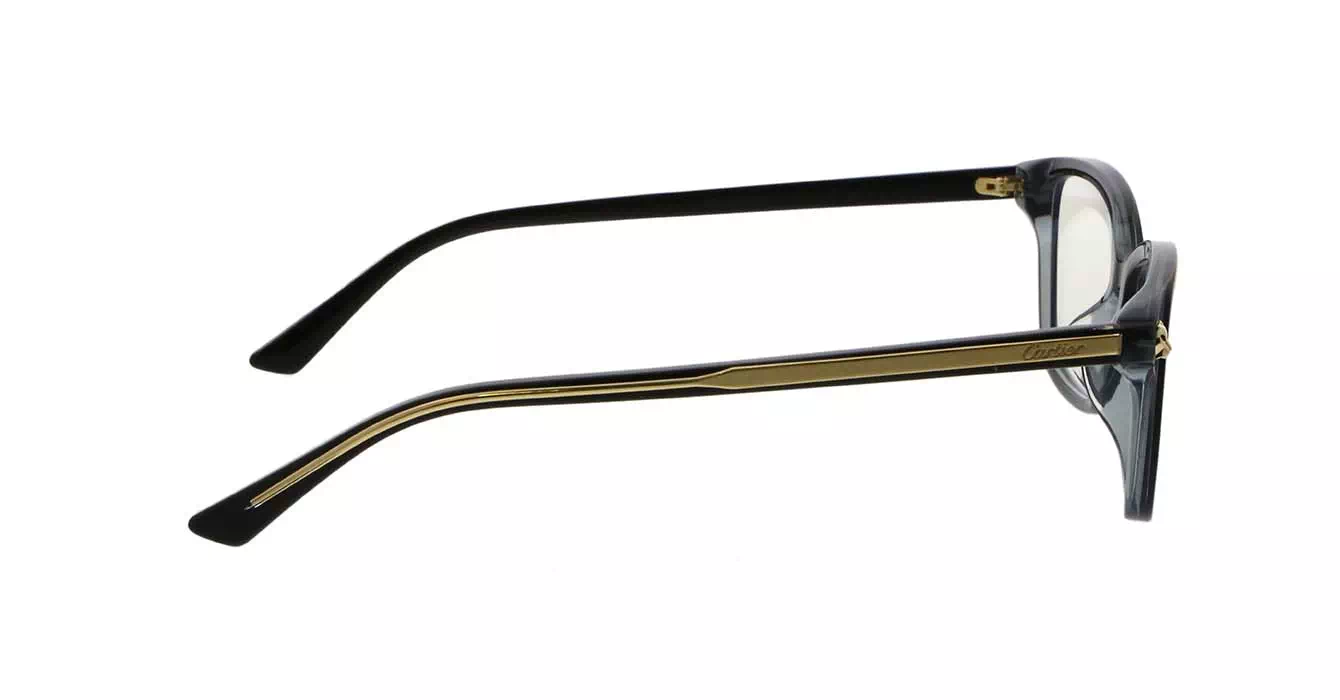 Cartier CT0206OA 001 s54