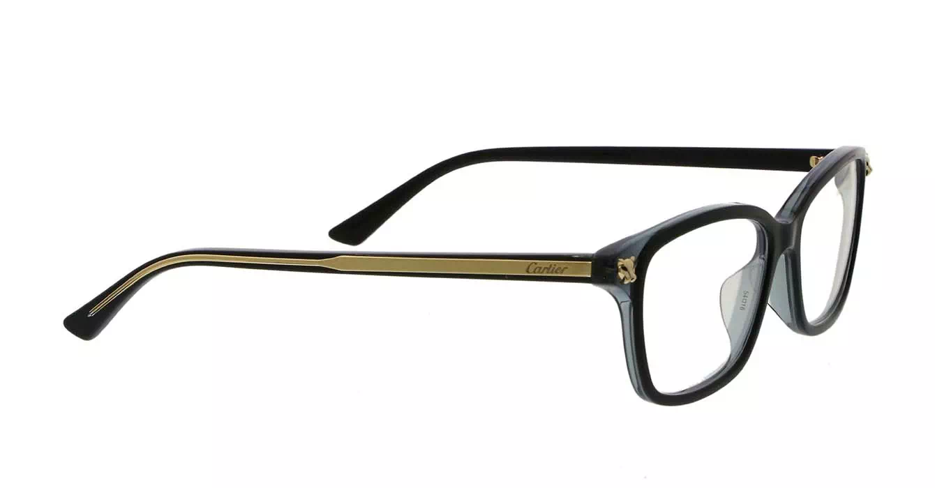 Cartier CT0206OA 001 s54