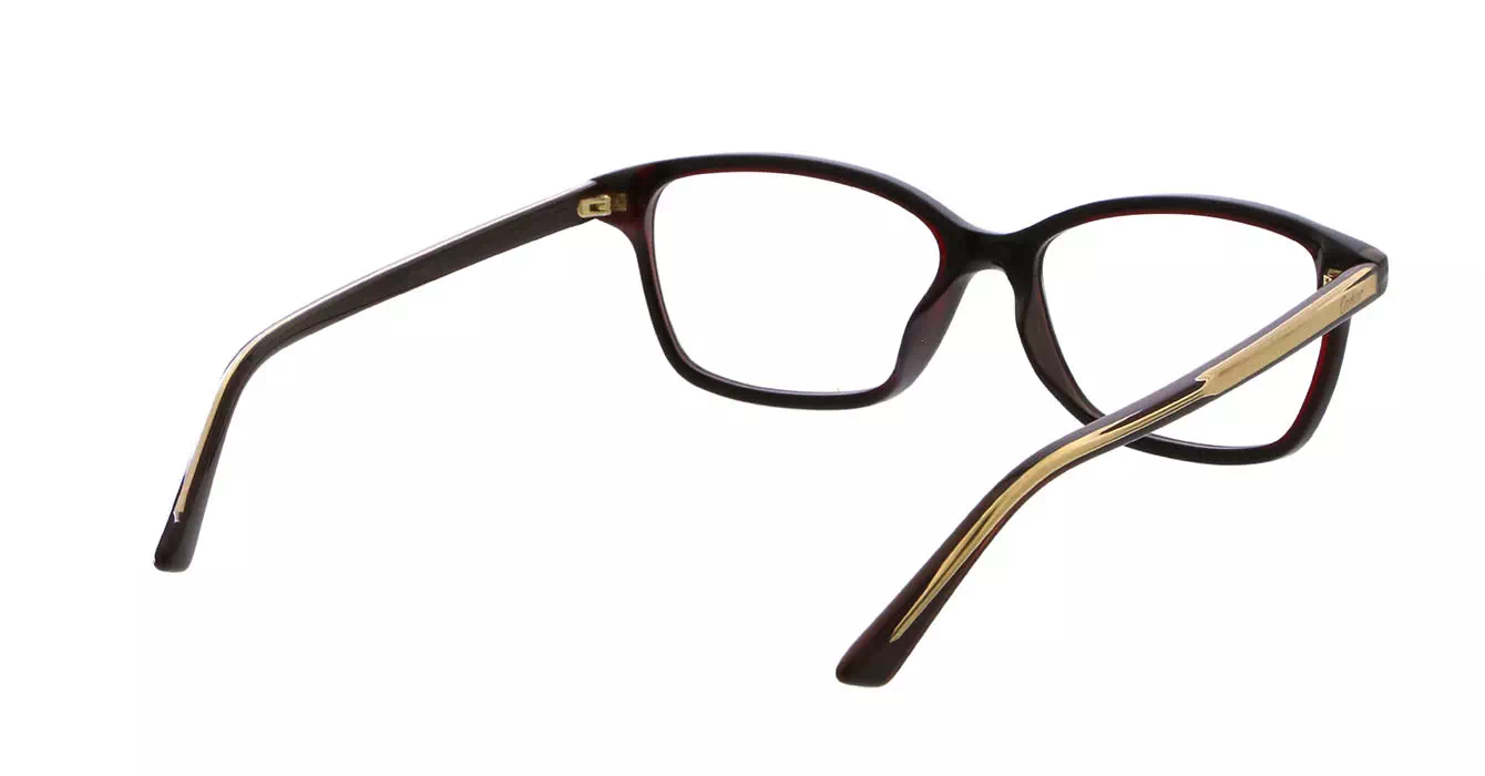 Cartier CT0206OA 004 s54