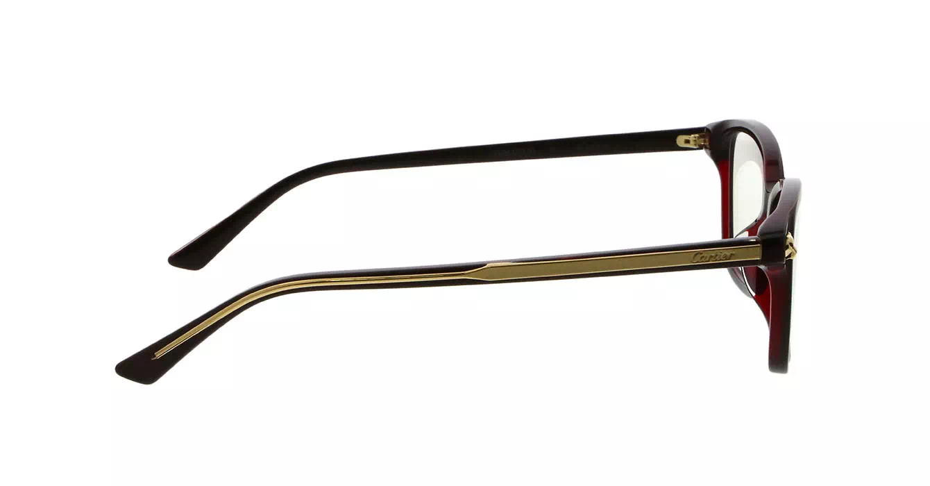 Cartier CT0206OA 004 s54