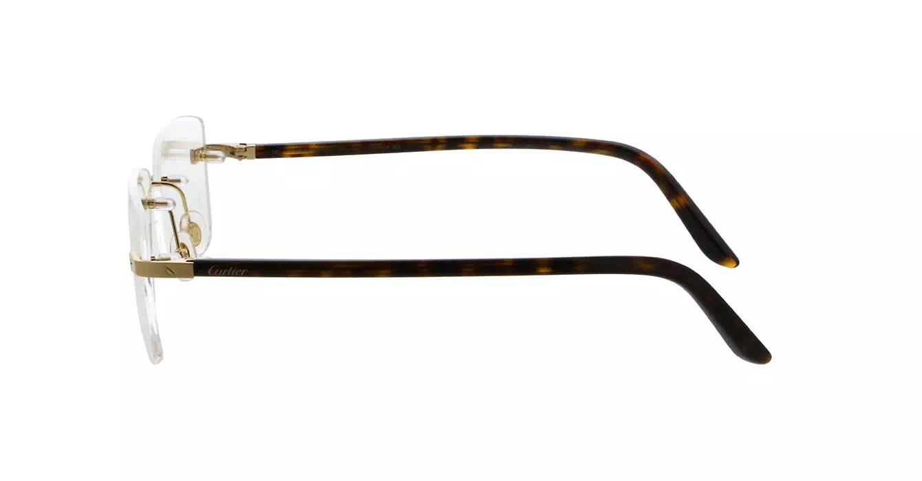 Cartier CT0216OA 003 s57