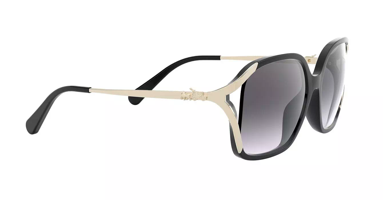 Coach HC8280U 5002/8G s57