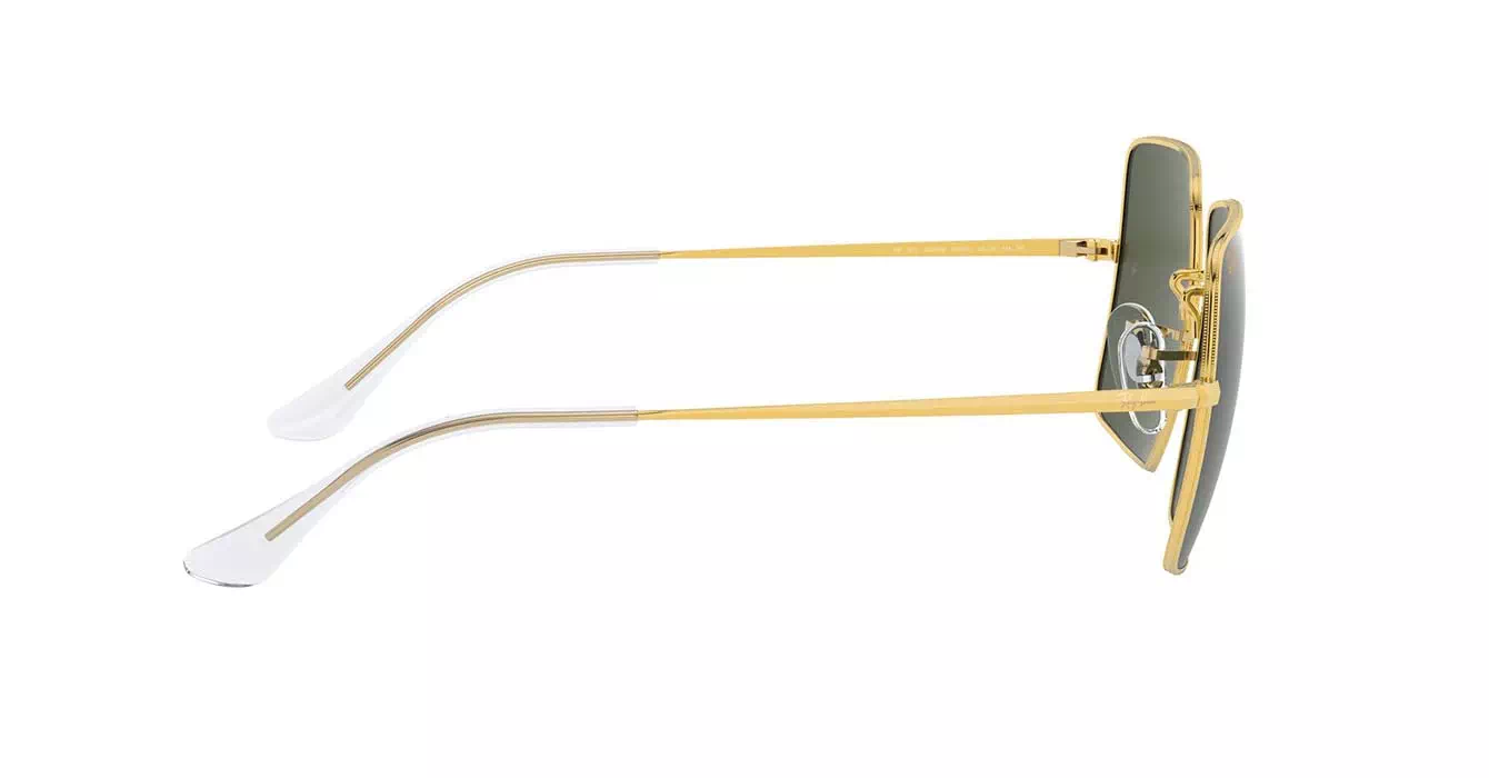 Ray-Ban RB1971 9196/31 s54