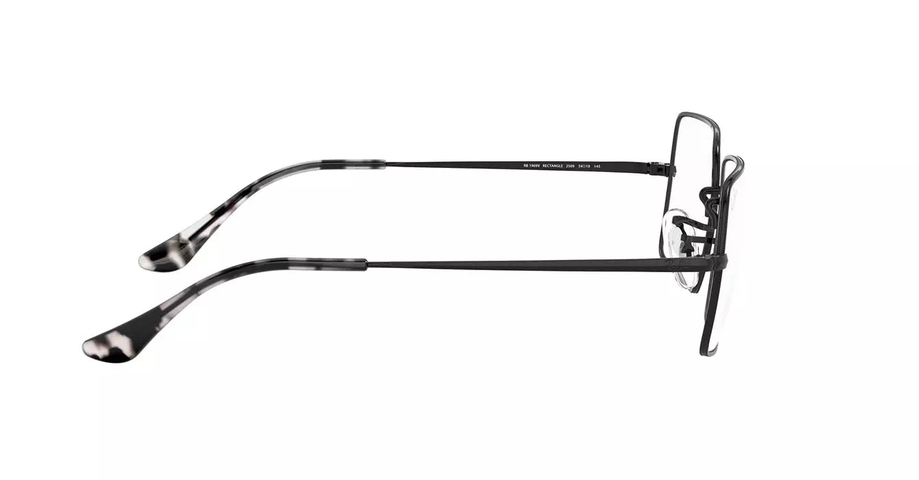 Ray-Ban RB1969V 2509 s54