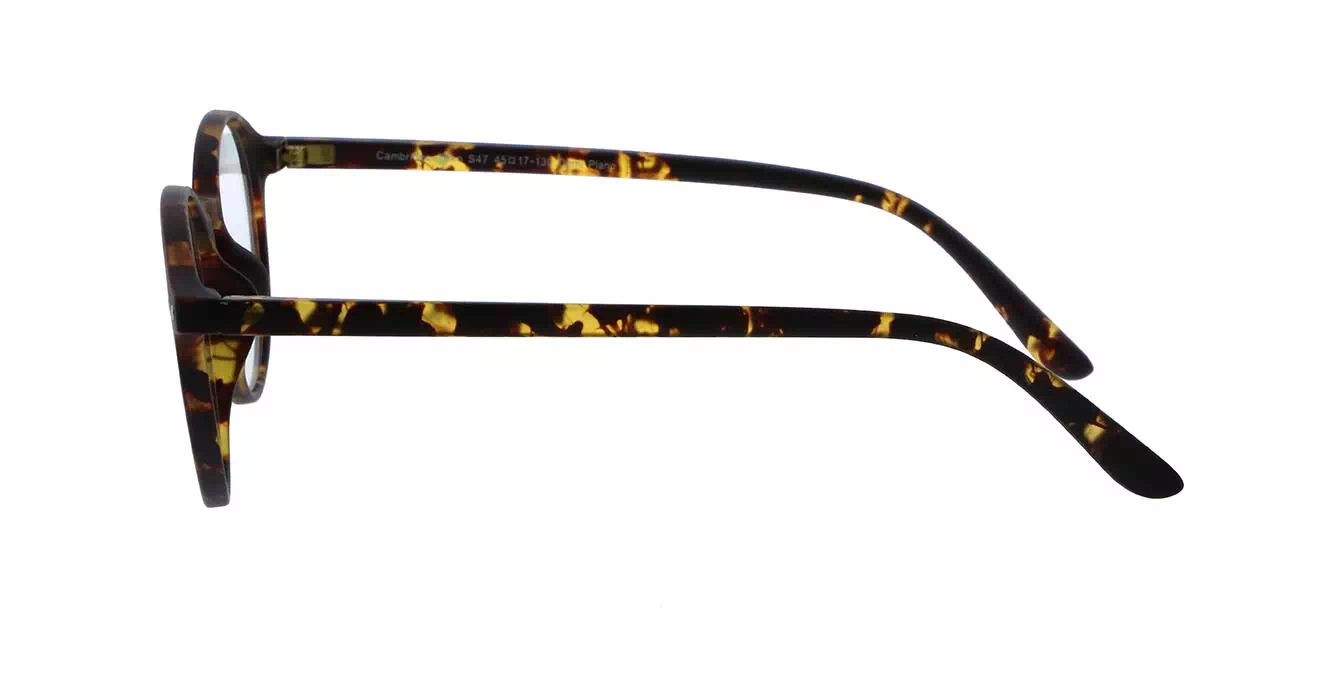 Kacamata Komputer EZ-Reader Cambridge Teen Warna Tortoise