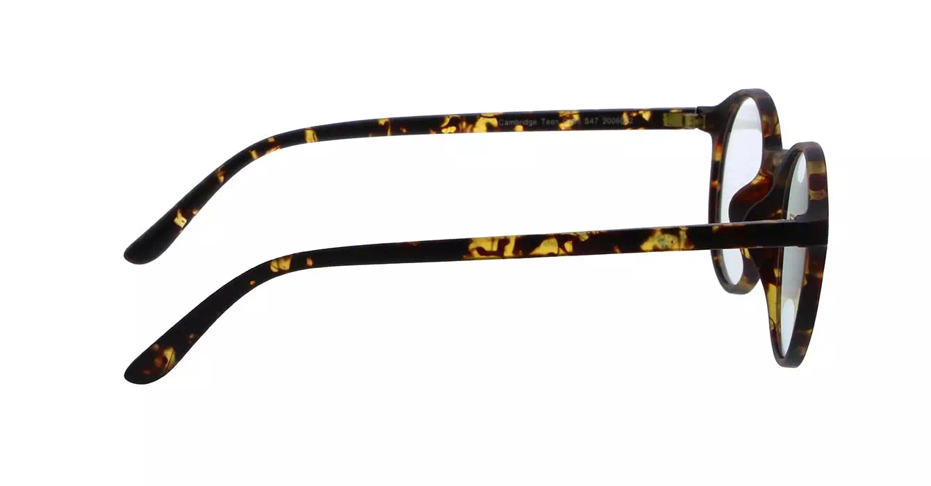 Kacamata Komputer EZ-Reader Cambridge Teen Warna Tortoise
