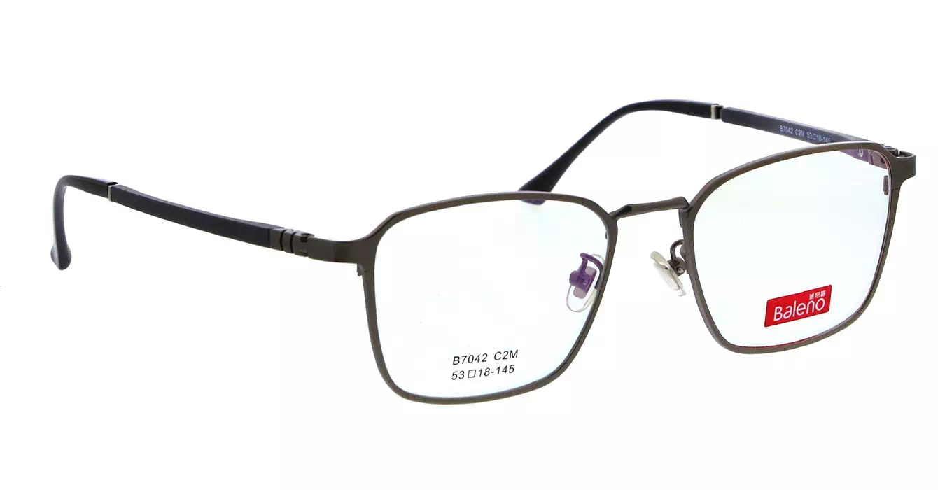 Baleno B7042 C2M s53