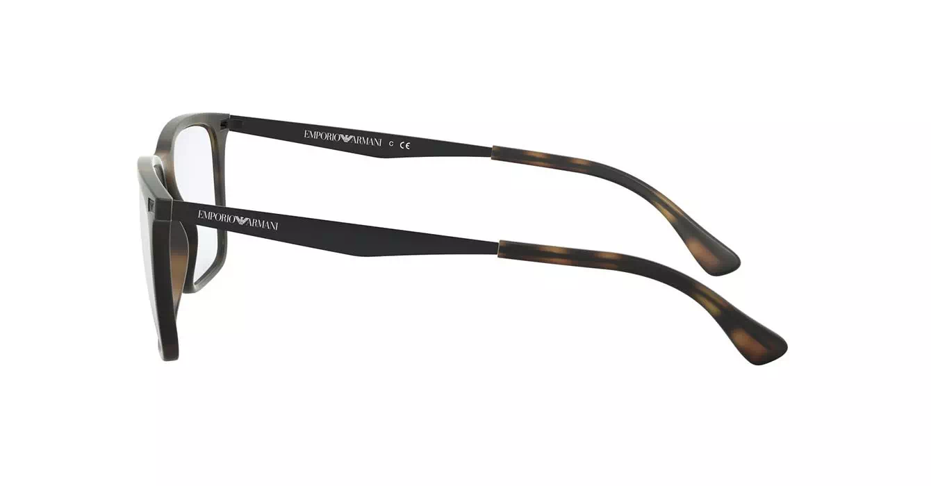 Emporio Armani EA3169F 5089 s55