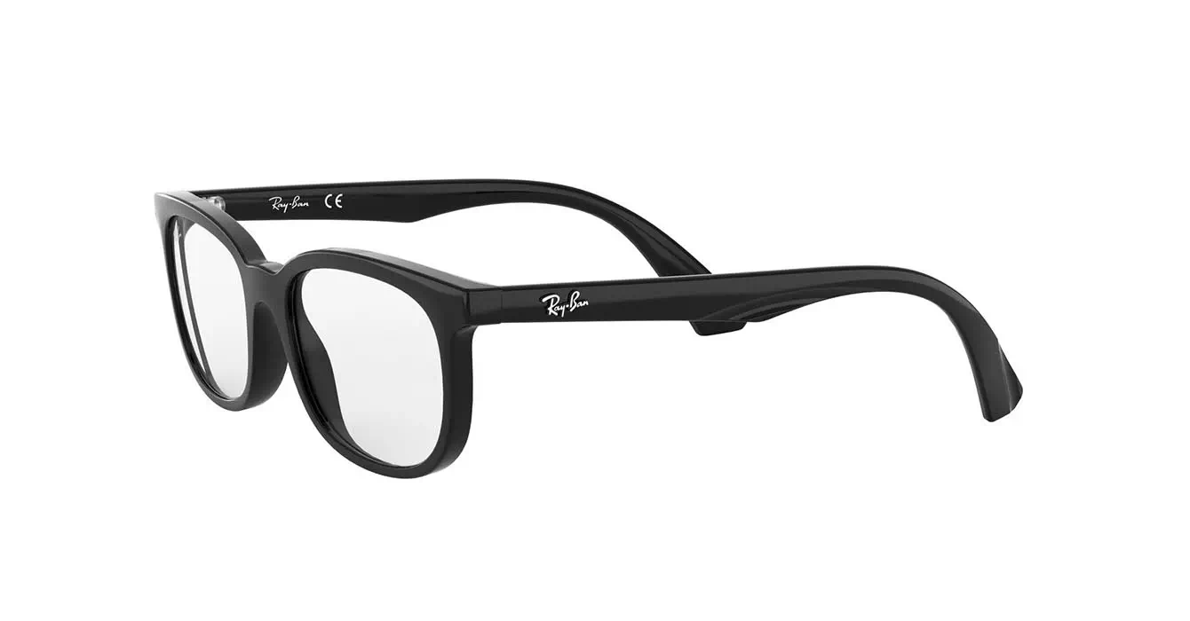 Ray-Ban RB1584 3542 s48