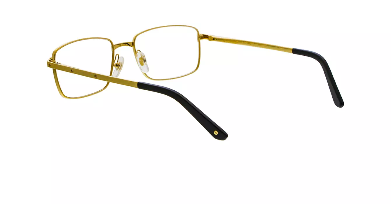 Cartier CT0204O 001 s56