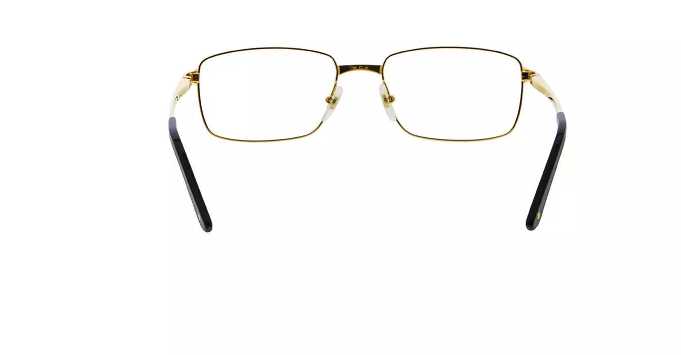 Cartier CT0204O 001 s56