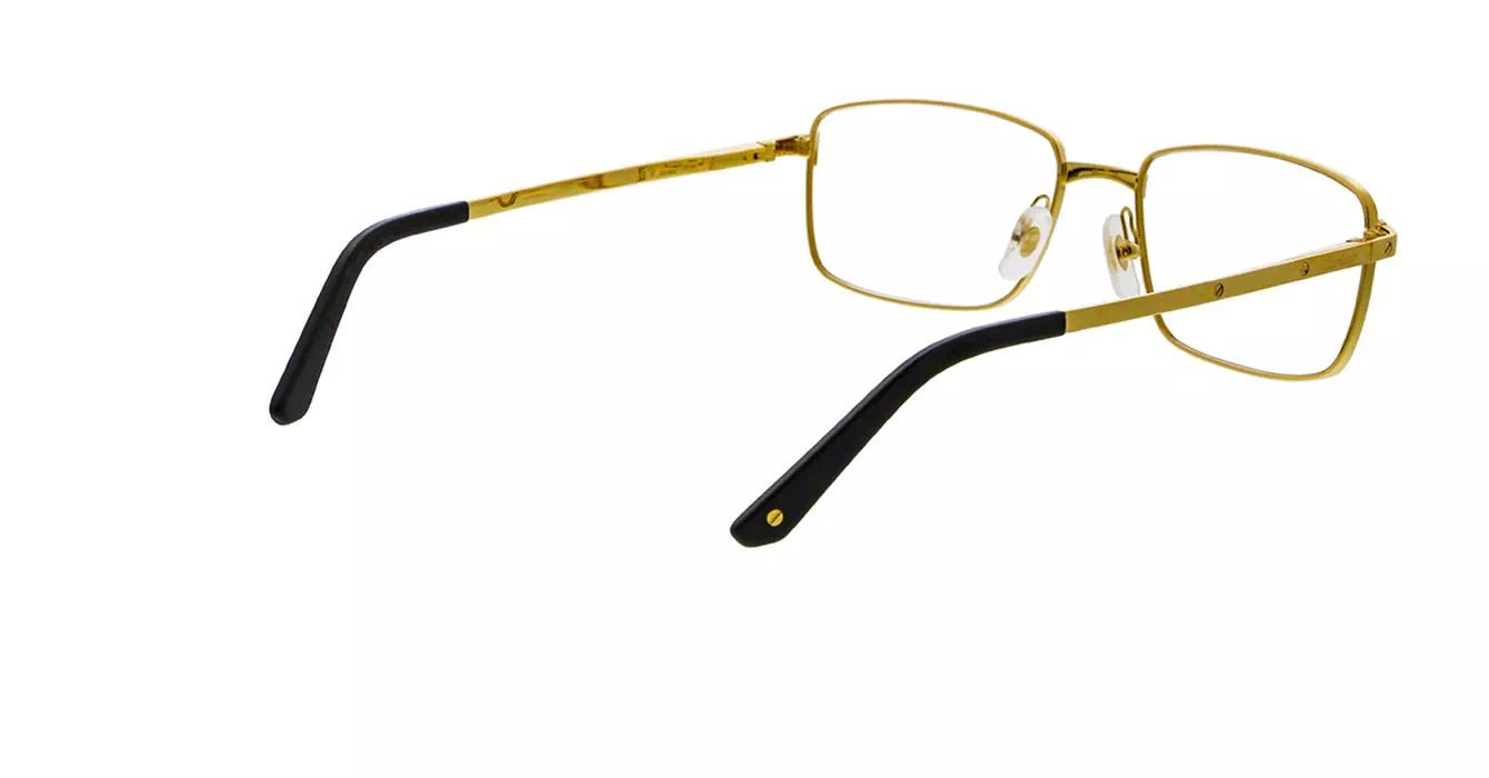 Cartier CT0204O 001 s56