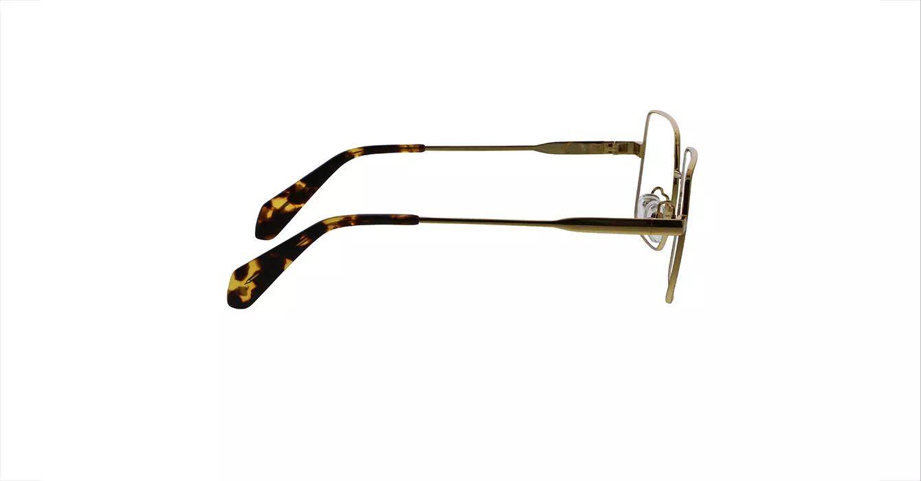 Franc Nobel TITAN AK17119 C04 s52 + CLIP ON C1