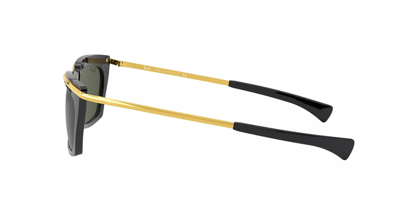 Ray-Ban RB2419 1303/31 s56