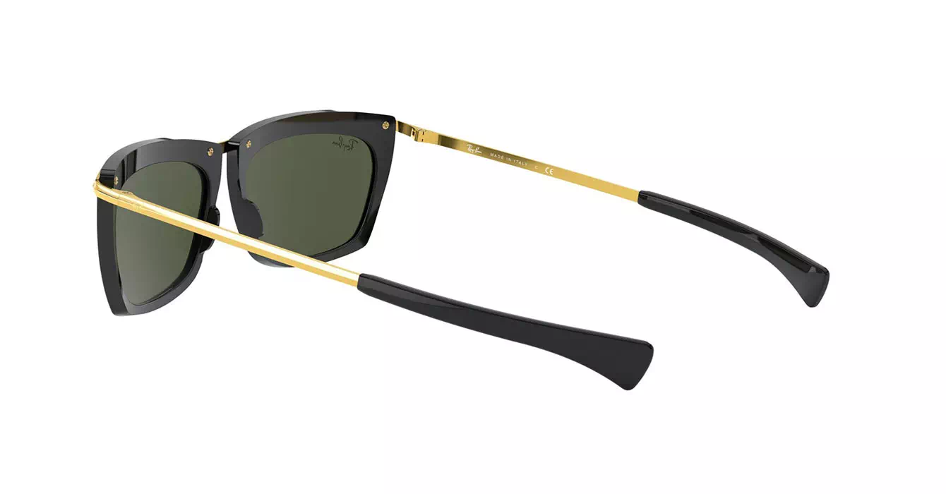 Ray-Ban RB2419 1303/31 s56
