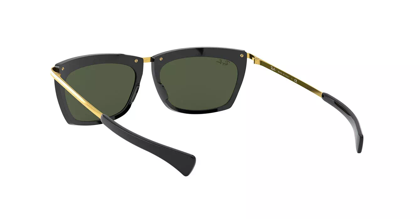 Ray-Ban RB2419 1303/31 s56