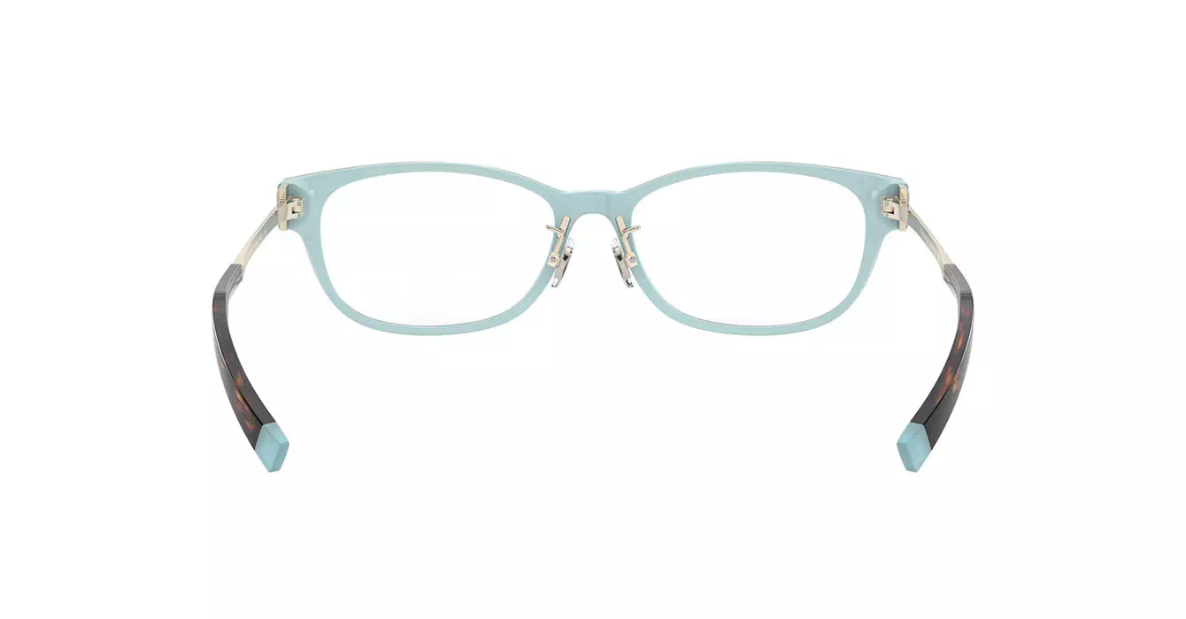 Tiffany&co 2201-D 8134 s54