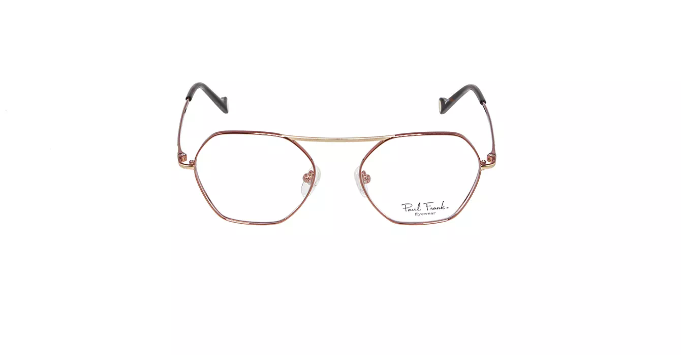 Paul Frank PFF8101 4033 s49