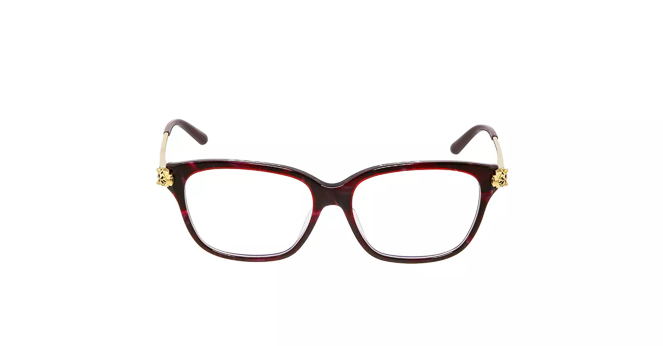 Cartier CT0210OA 003 s54