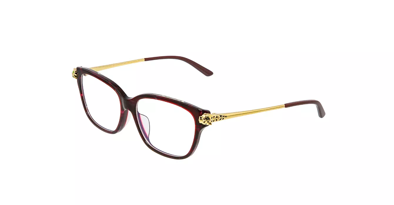 Cartier CT0210OA 003 s54