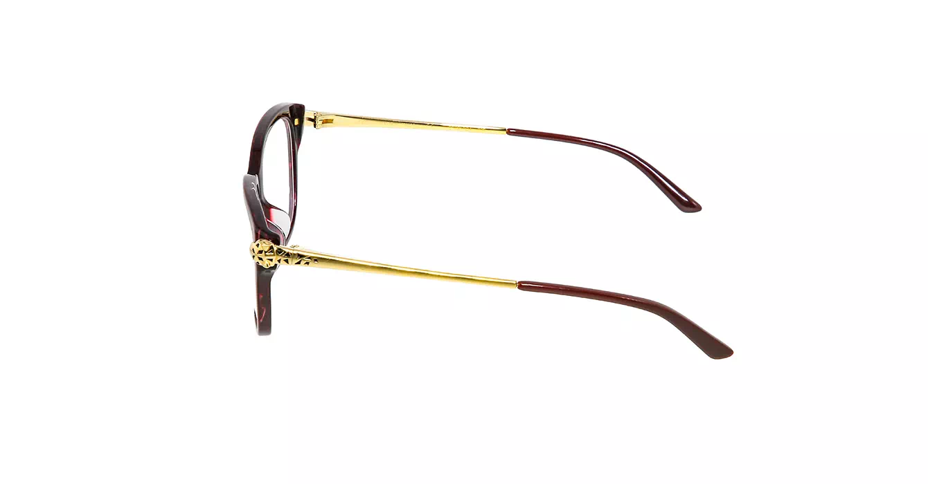 Cartier CT0210OA 003 s54