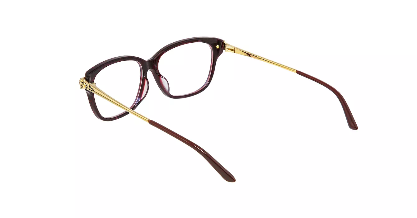 Cartier CT0210OA 003 s54