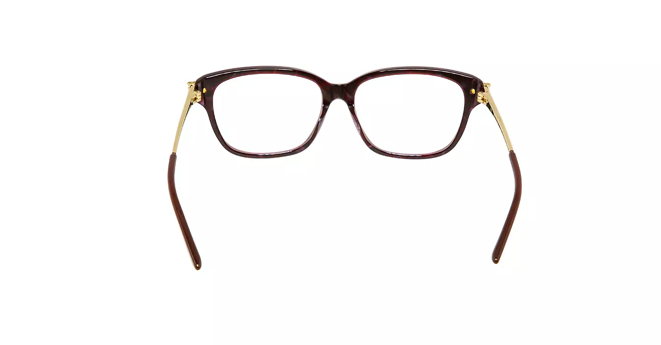 Cartier CT0210OA 003 s54