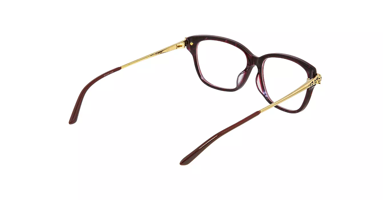 Cartier CT0210OA 003 s54