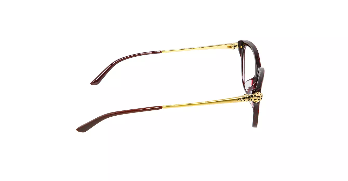 Cartier CT0210OA 003 s54