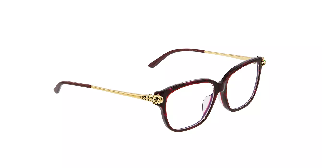 Cartier CT0210OA 003 s54