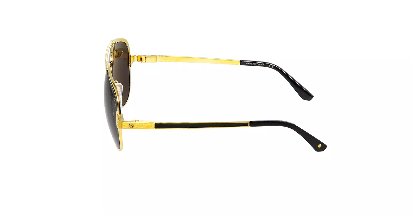 Cartier CT0192S 001 s60