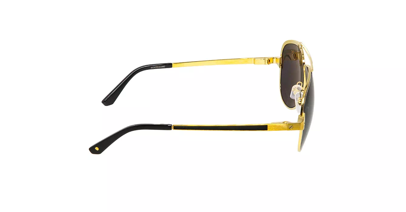 Cartier CT0192S 001 s60