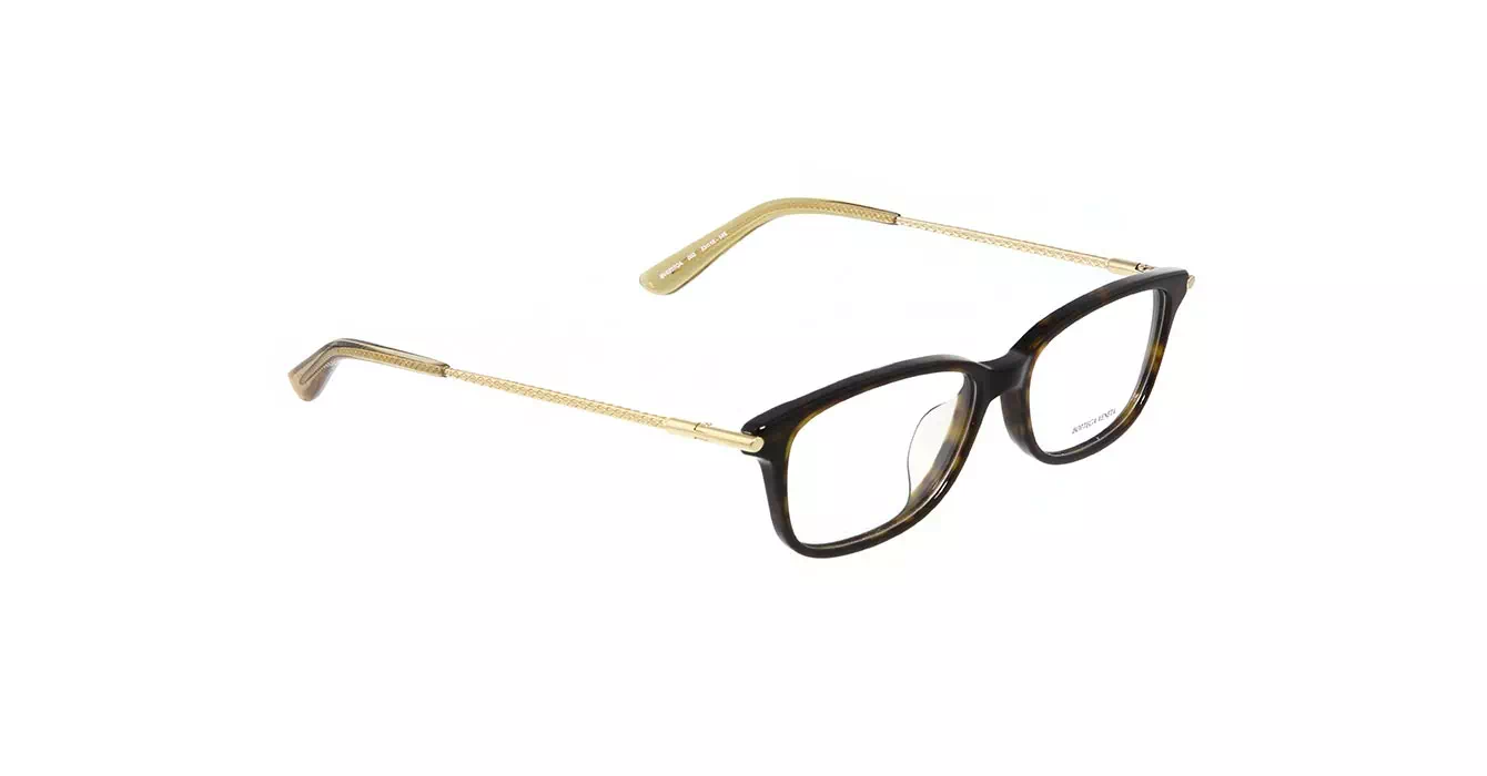 Bottega Veneta BV0257OA 002 s53