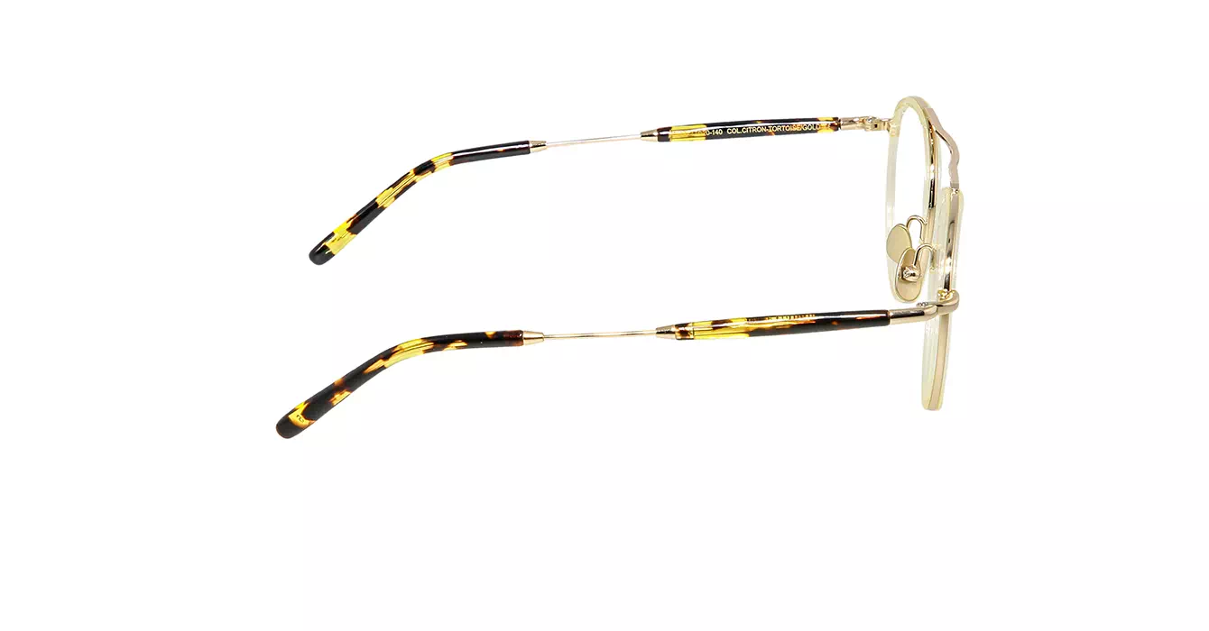 Moscot Pupik Citron/Tortoise Gold s47