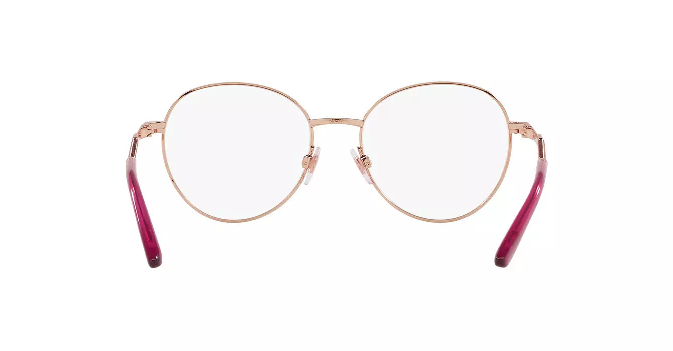 Dolce & Gabbana 1333 1298 s54