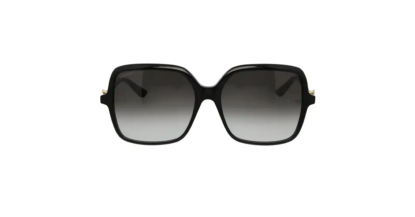 Cartier CT0219SA 001 s58