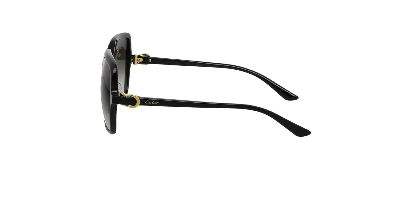 Cartier CT0219SA 001 s58
